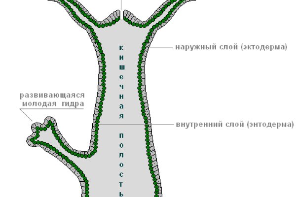 Кракен личный кабинет