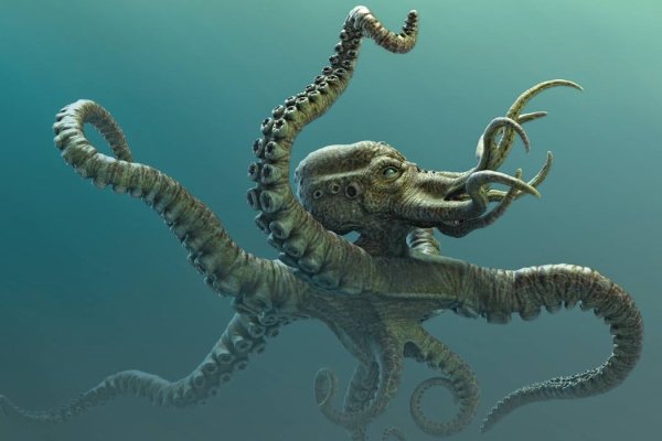 Kraken ссылка онион